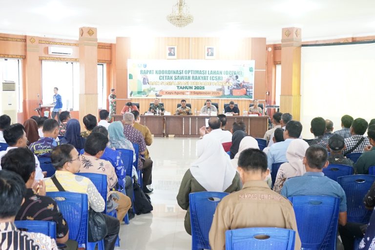 WhatsApp Image 2025-09-11 at 11.38.54