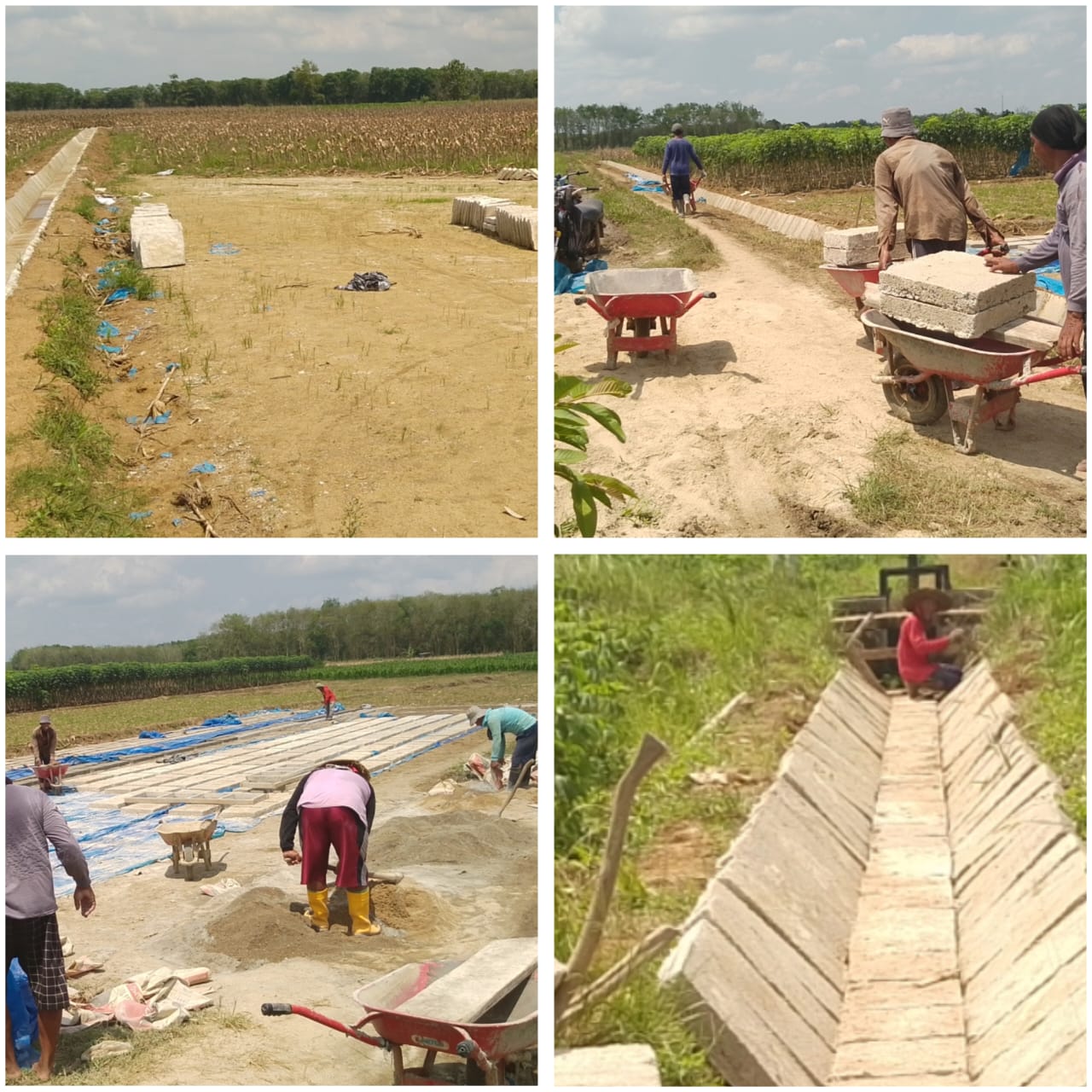 WhatsApp Image 2025-09-23 at 13.56.03