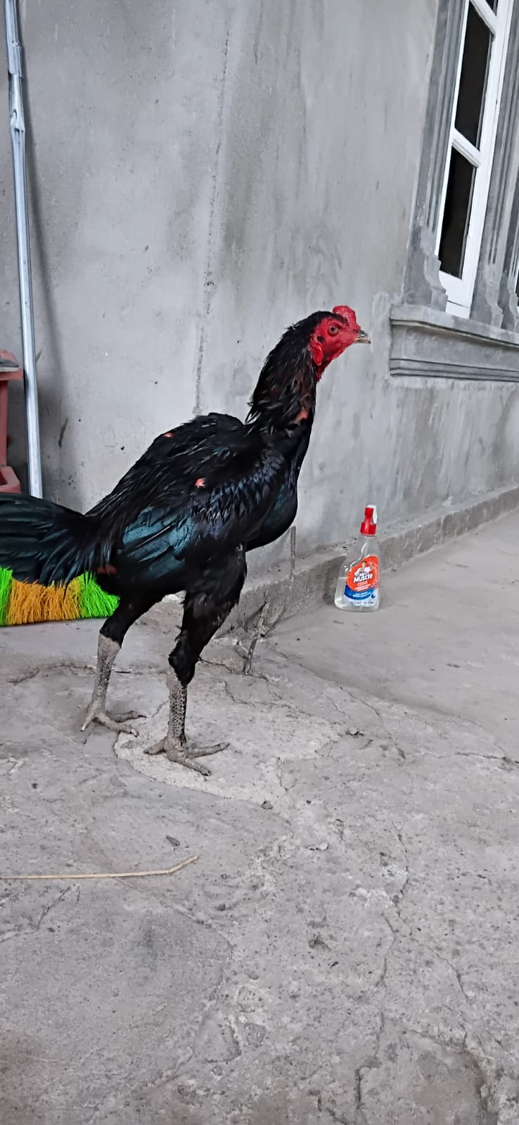 WhatsApp Image 2025-09-29 at 18.56.52