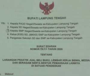 IMG-20251104-WA0035-300x255