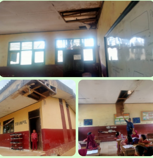 WhatsApp Image 2025-11-20 at 05.26.43 (1)