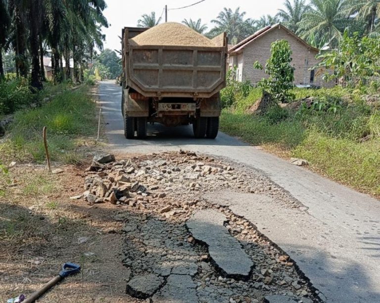 f40e4767-11af-4c08-baa9-9aede8c25235-768x612