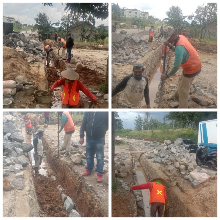 WhatsApp Image 2026-03-14 at 09.37.01