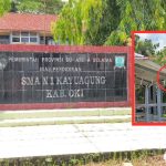 WhatsApp Image 2026-04-13 at 2.39.01 PM