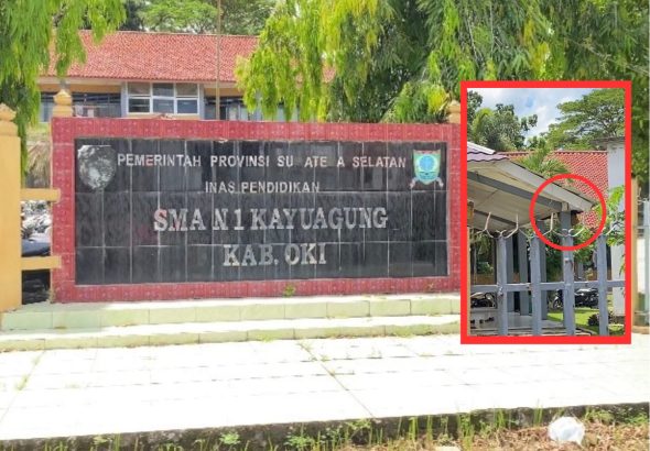 WhatsApp Image 2026-04-13 at 2.39.01 PM