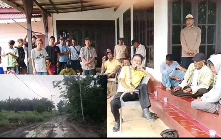 WhatsApp Image 2026-04-25 at 11.07.54 AM (1)