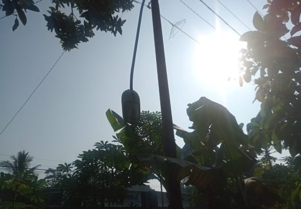 WhatsApp Image 2026-06-11 at 10.30.49 (1)