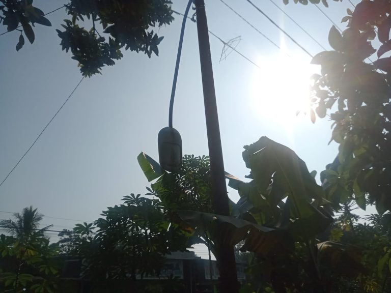 WhatsApp Image 2026-06-11 at 10.30.49 (1)