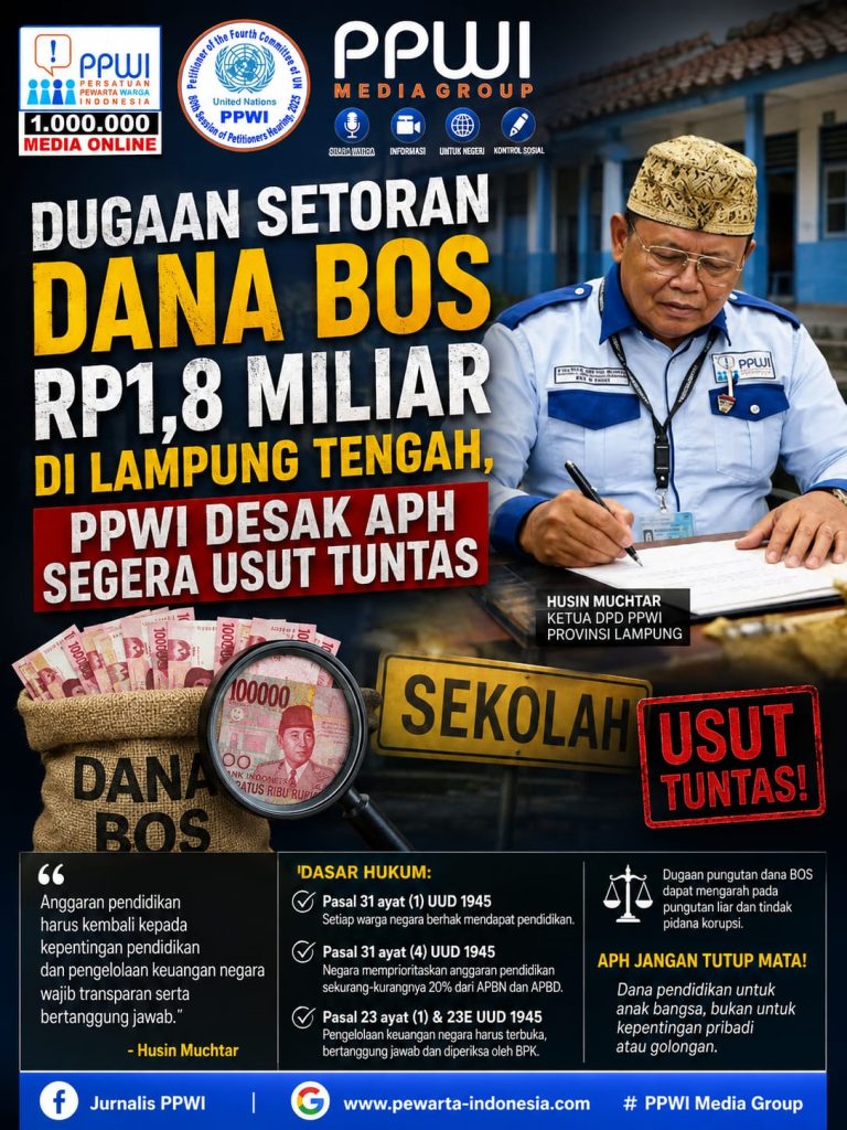 WhatsApp Image 2026-08-20 at 22.08.04