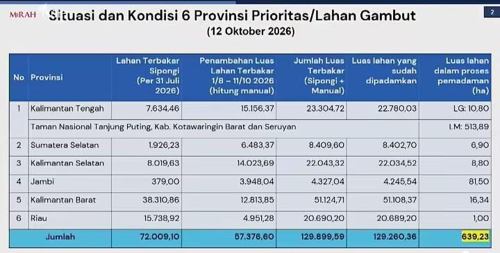 WhatsApp Image 2026-10-13 at 23.11.31